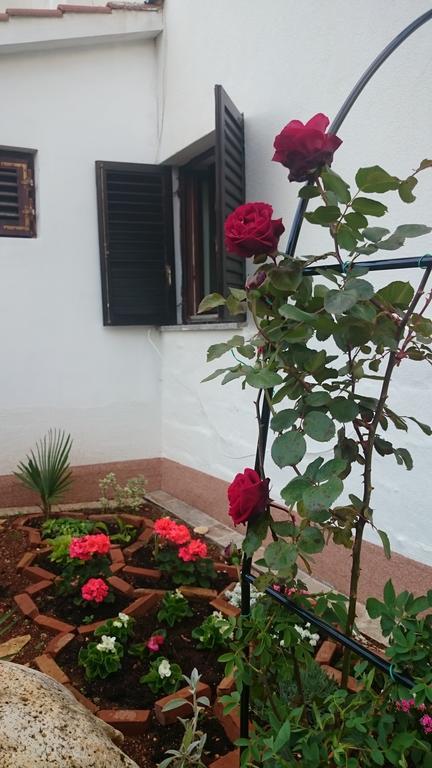 Apartment Devčić Poreč Buitenkant foto